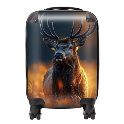 Warren Reed Designer Finn Wilder: 00014 SuitcaseSmall from B&Q