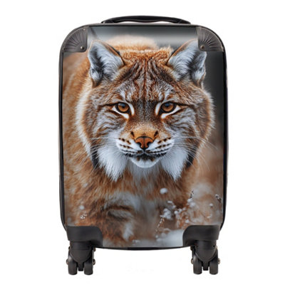 Warren Reed Designer Finn Wilder: 00020 SuitcaseSmall from B&Q