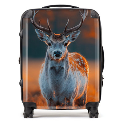 Warren Reed Designer Finn Wilder: 00024 SuitcaseLarge from B&Q