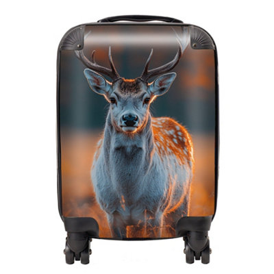 Warren Reed Designer Finn Wilder: 00024 SuitcaseMini Cabin from B&Q