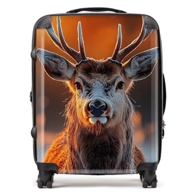 Warren Reed Designer Finn Wilder: 00026 SuitcaseLarge from B&Q