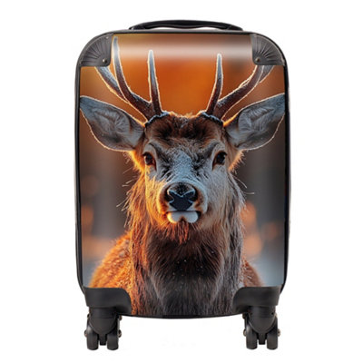 Warren Reed Designer Finn Wilder: 00026 SuitcaseSmall from B&Q