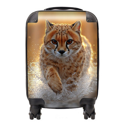 Warren Reed Designer Finn Wilder: 00028 SuitcaseSmall from B&Q