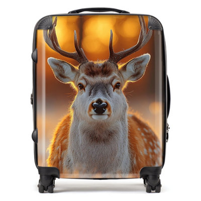 Warren Reed Designer Finn Wilder: 00029 SuitcaseLarge from B&Q