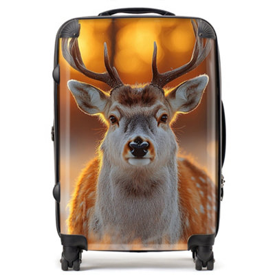 Warren Reed Designer Finn Wilder: 00029 SuitcaseMedium from B&Q