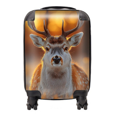 Warren Reed Designer Finn Wilder: 00029 SuitcaseSmall from B&Q