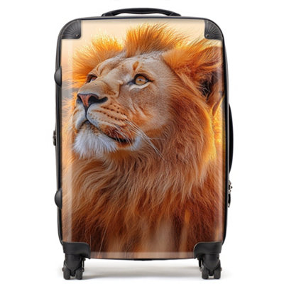 Warren Reed Designer Finn Wilder: 00031 SuitcaseMedium from B&Q