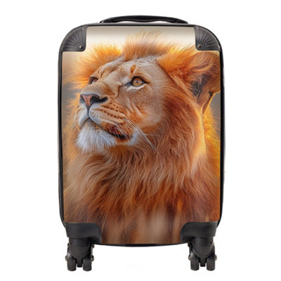 Warren Reed Designer Finn Wilder: 00031 SuitcaseMini Cabin from B&Q