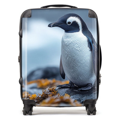 Warren Reed Designer Finn Wilder: 00035 SuitcaseLarge from B&Q