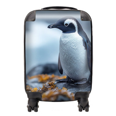 Warren Reed Designer Finn Wilder: 00035 SuitcaseSmall from B&Q