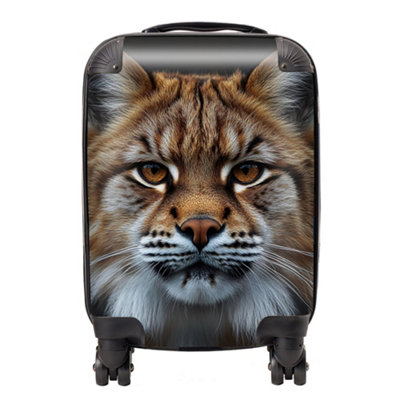 Warren Reed Designer Finn Wilder: 00046 SuitcaseMini Cabin from B&Q