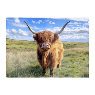 Warren Reed Designer Highland Cow In Summer Glass Chopping Board from B&Q