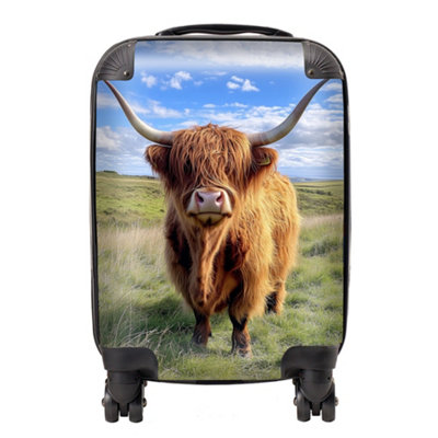 Warren Reed Designer Highland Cow In Summer SuitcaseMini Cabin from B&Q