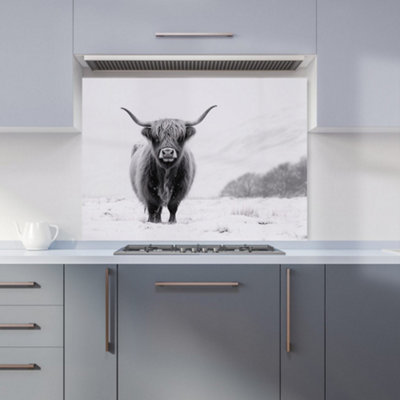 Warren Reed Designer Lone Highland Cow Kitchen Splashback from B&Q