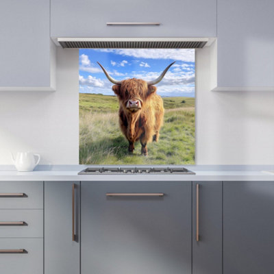 Warren Reed Designer Highland Cow In Summer Kitchen Splashback from B&Q