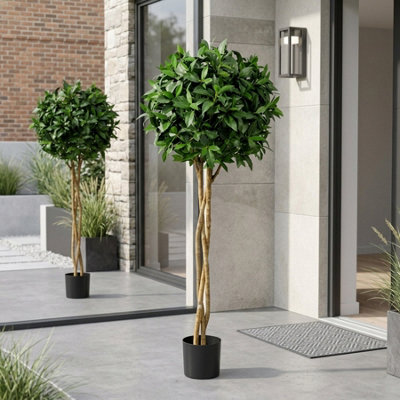 Garden Greatness Evergreen Laurel Ball Potted Tree from B&Q