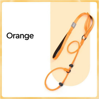 ARLinens Nylon Slip Lead Dog Slip Leash And Collar Dog Training Leash With Double Handle (Orange) from B&Q