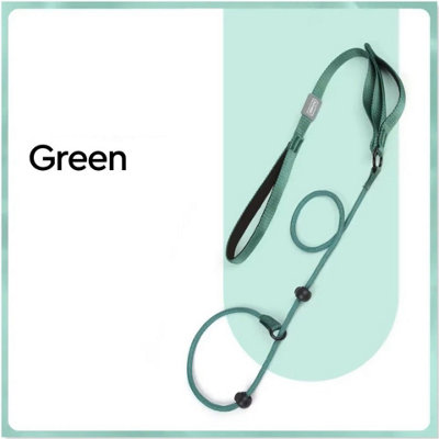 ARLinens Nylon Slip Lead Dog Slip Leash And Collar Dog Training Leash With Double Handle (Green) from B&Q