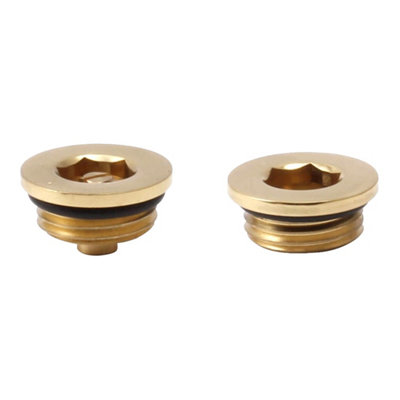 FNX Bathrooms Premium Polished Brass Radiator Air Vent & Blanking Plug Set1/2" Bsp Thread For Diy Installation from B&Q