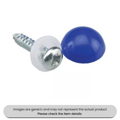 Mehr Zinc Plated No. Plate Fixings Blue Domes & Screws 8X3/4" Pack Qty 100 from B&Q