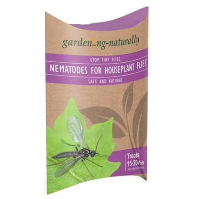 Nematodes For Houseplant Flies Control Natural Safe Indoor Use - Image 3