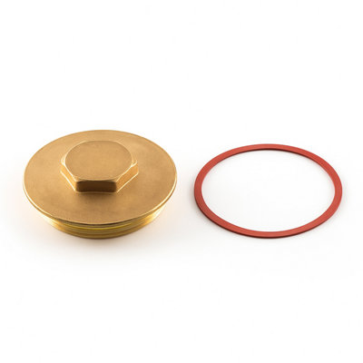 Home Range Westco Immersion Heater Plug & Fibre WasherBrass Plug With Red Sealing Washer For Hot Water Cylinders from B&Q