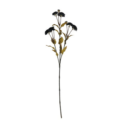 Wyld Haus Set Of 3 Black Chrysanthemum Artificial Flower Stems 650mm from B&Q
