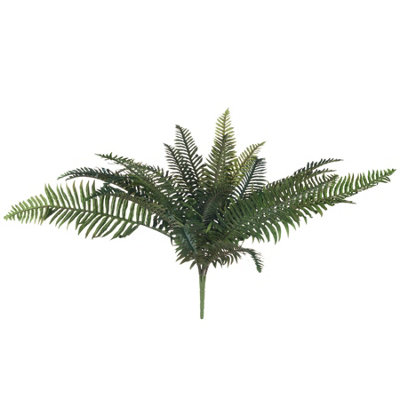 Wyld Haus Set Of 3 Artificial Fern Bunches600mmRealistic Green from B&Q