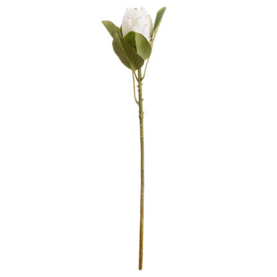 Wyld Haus Set Of 3 Closed White Protea Artificial Flower Stems 670mm from B&Q