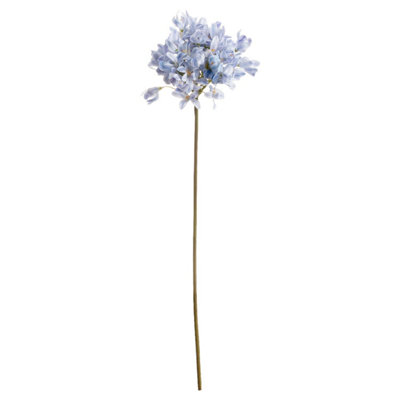 Wyld Haus Set Of 3 Light Blue Large Headed Agapanthus Stems 710mm from B&Q