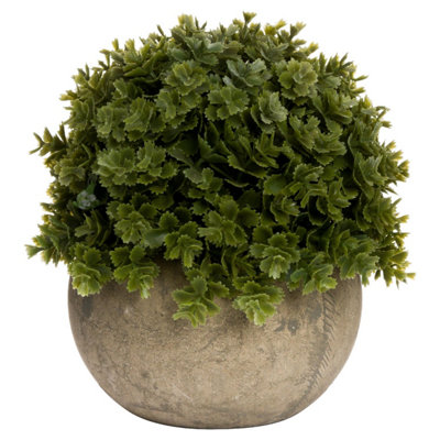 Wyld Haus Artificial Miniature Hebe Veronica In Stone-Effect Pot from B&Q