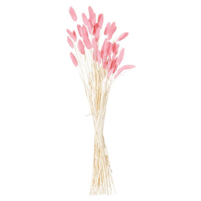 Wyld Haus Set Of 40 Dried Pale Pink Bunny Tail Bunch600mm Stems from B&Q