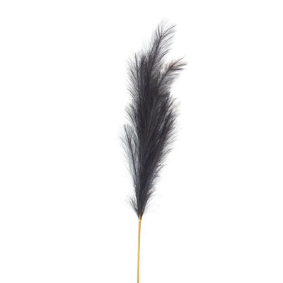 Wyld Haus Set Of 3 Large Grey Faux Pampas Grass Stems 120Cm from B&Q