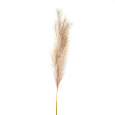 Wyld Haus Set Of 3 Bleached Large Faux Pampas Grass Stems1200mm Height from B&Q