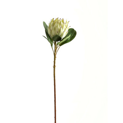 Wyld Haus Set Of 3 Large White Artificial Protea Stems 730mm from B&Q