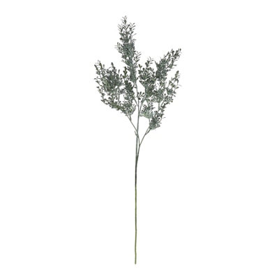 Wyld Haus Set Of 3 Blackened Grass Spray Stems 750mm Tall Artificial Grass from B&Q