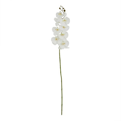Wyld Haus Set Of 3 Tall White Butterfly Orchid Stems 1030mm Artificial Flowers from B&Q