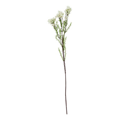 Wyld Haus Set Of 3 White Waxflower Artificial Stems 800mm from B&Q