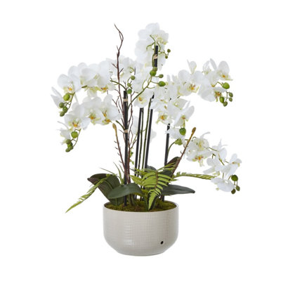 Wyld Haus Unisex White Artificial Orchid In Ceramic Pot Large - Image 3