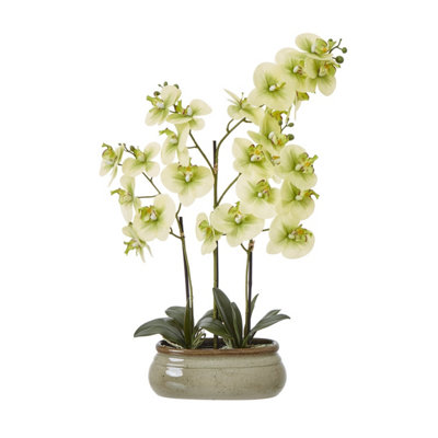 Wyld Haus Large Green Artificial Orchid In Ceramic Pot 73 Cm Indoor Faux Plant from B&Q
