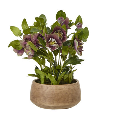 Wyld Haus Deep Plum Hellebore Artificial Plant In Brown Ceramic Pot