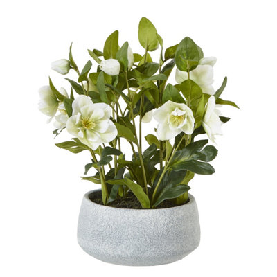 Wyld Haus Artificial White Hellebore Plant In Grey Ceramic Pot41 Cm from B&Q
