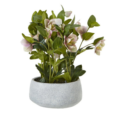 Wyld Haus Artificial Variegated Pink Hellebore In Grey Ceramic Pot from B&Q