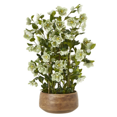 Wyld Haus Large Artificial Hellebore Plant In Taupe Ceramic Pot85 Cm from B&Q