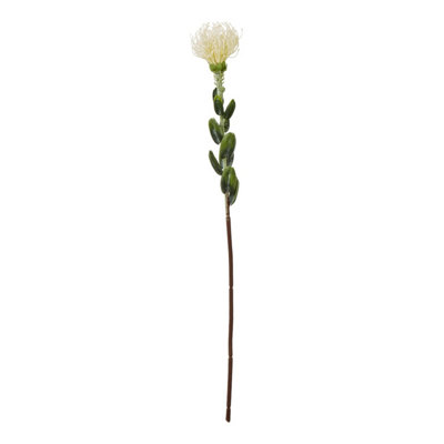 Wyld Haus Set Of 3 Artificial Flowers Cream Pincushion Protea Sprays from B&Q