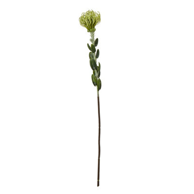 Wyld Haus Set Of 3 Green Pincushion Protea Artificial Flowers 610mm Tall Stems from B&Q
