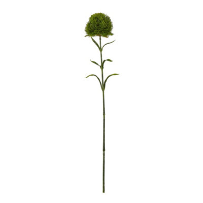 Wyld Haus Set Of 3 Dark Green Artificial Dianthus Stems 530mm from B&Q
