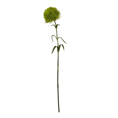 Wyld Haus Set Of 3 Light Green Artificial Dianthus Stems 530 mm from B&Q
