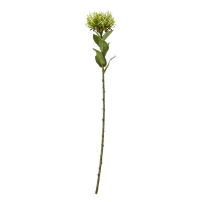 Wyld Haus Set Of 3 Green Protea Lorea Artificial Stems 730 mm from B&Q