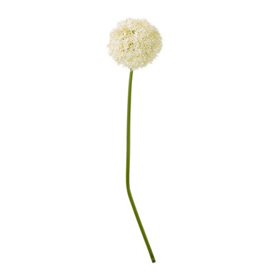 Wyld Haus Set Of 3 Artificial Cream Giant Allium Stems 900mm from B&Q